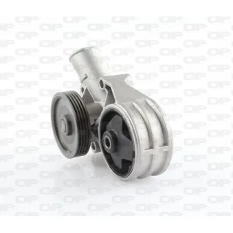 Pompe à eau OPEN PARTS OEM 007070246