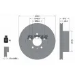 TEXTAR 92018600 - Jeu de 2 disques de frein arrière