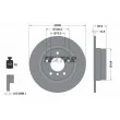 TEXTAR 92133103 - Jeu de 2 disques de frein arrière