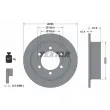 TEXTAR 92138500 - Jeu de 2 disques de frein arrière