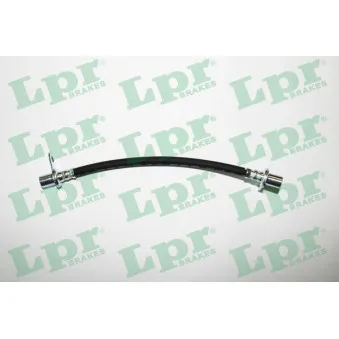 Flexible de frein LPR OEM 4806J2
