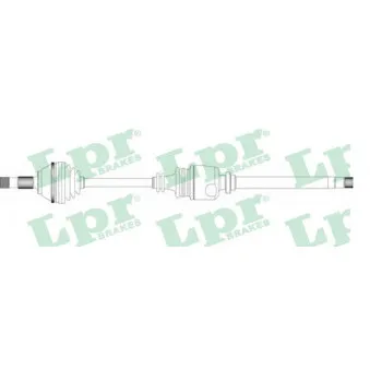 LPR DS20100 - Arbre de transmission