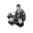 FEBI BILSTEIN 02271 - Rotule de suspension