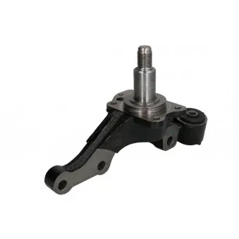 REINHOCH RH08-7001 - Fusée d'essieu, suspension de roue arrière gauche 