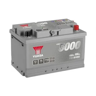 Batterie de démarrage YUASA OEM 150000520