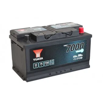 Batterie de démarrage YUASA OEM 1754041