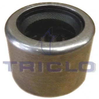 TRICLO 625077 - Suspension, boîte manuelle