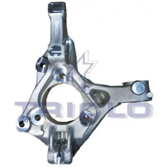 TRICLO 767196 - Fusée d'essieu, suspension de roue