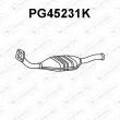 VENEPORTE PG45231K - Catalyseur