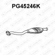 VENEPORTE PG45246K - Catalyseur