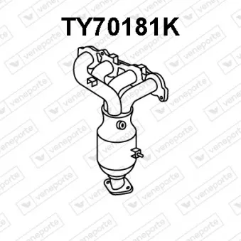 Catalyseur VENEPORTE OEM 250510J020