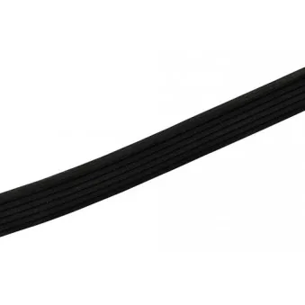 Courroie trapézoïdale à nervures KLAXCAR FRANCE OEM 7701064334