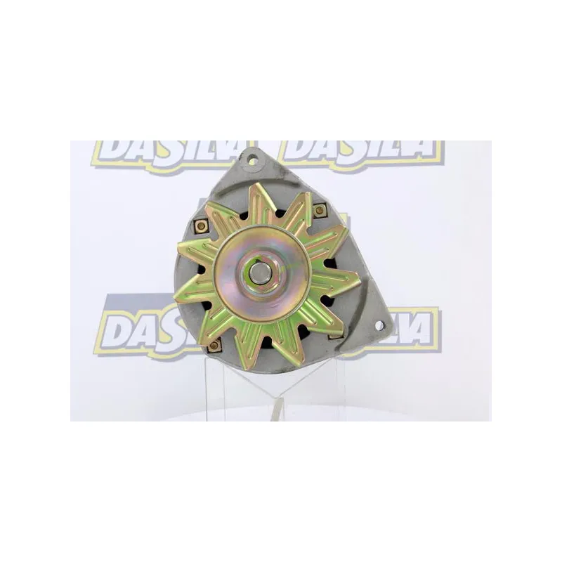Alternateur DA SILVA 010019 - Visuel 1