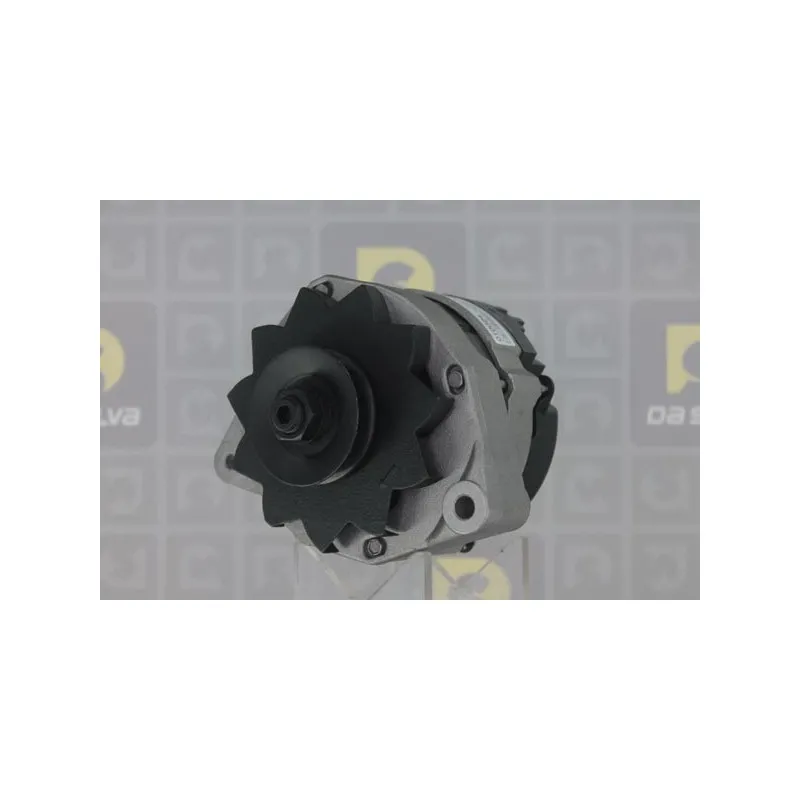 Alternateur DA SILVA 010024 - Visuel 1