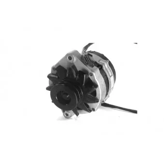 Alternateur DA SILVA 010031