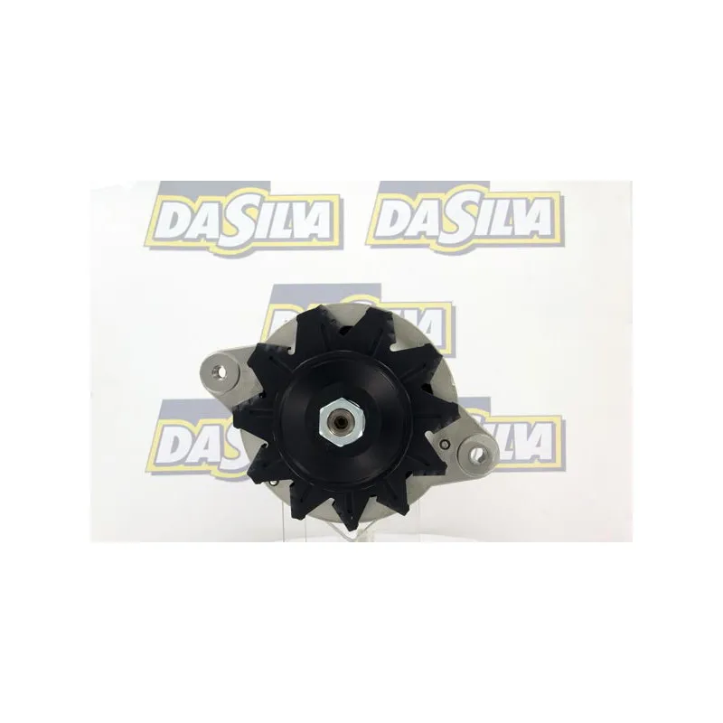Alternateur DA SILVA 010101 - Visuel 1