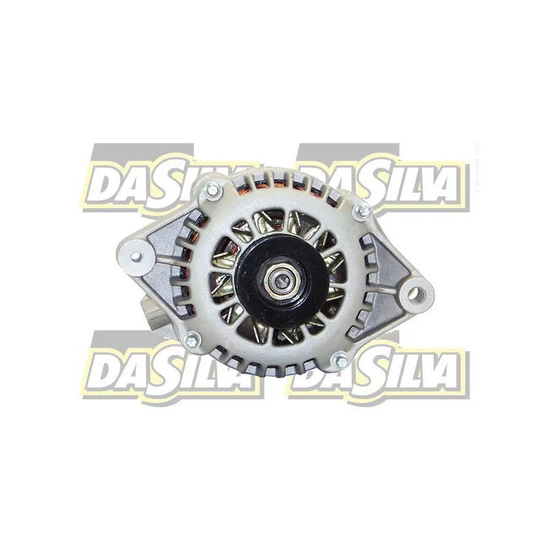Alternateur DA SILVA 010111 - Visuel 1
