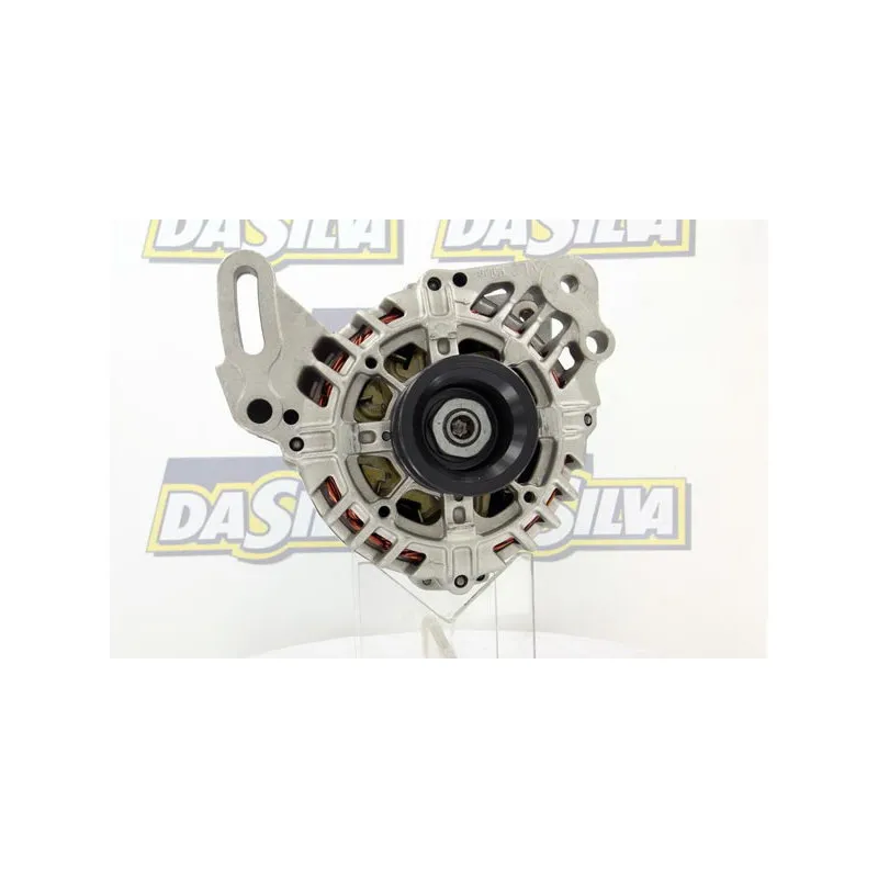 Alternateur DA SILVA 010206 - Visuel 1