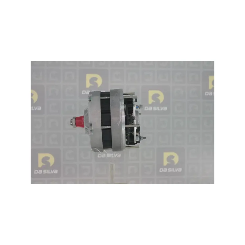 Alternateur DA SILVA 010307 - Visuel 1