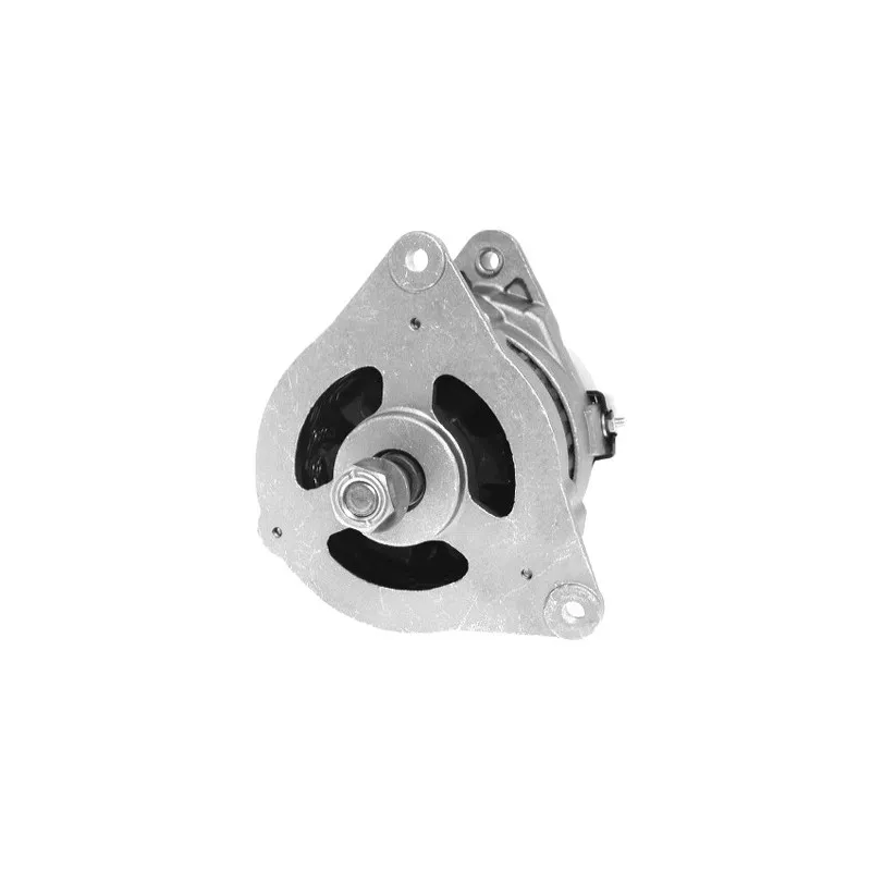 Alternateur DA SILVA 010318 - Visuel 1