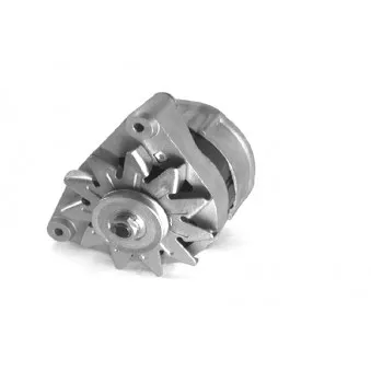 Alternateur DA SILVA 010322