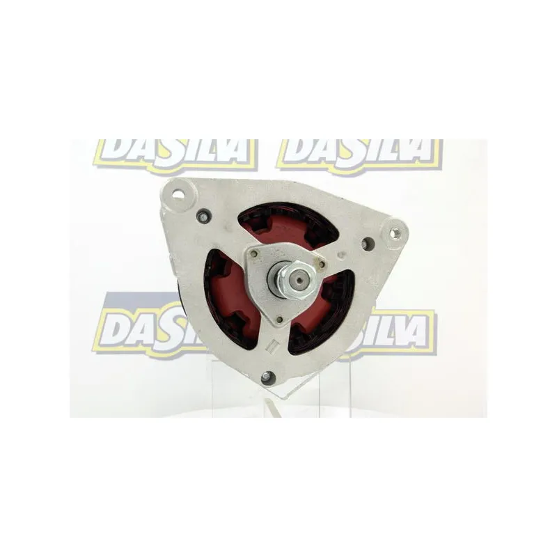Alternateur DA SILVA 010423 - Visuel 1
