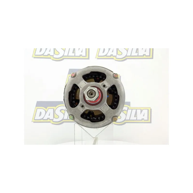 Alternateur DA SILVA 010426 - Visuel 1