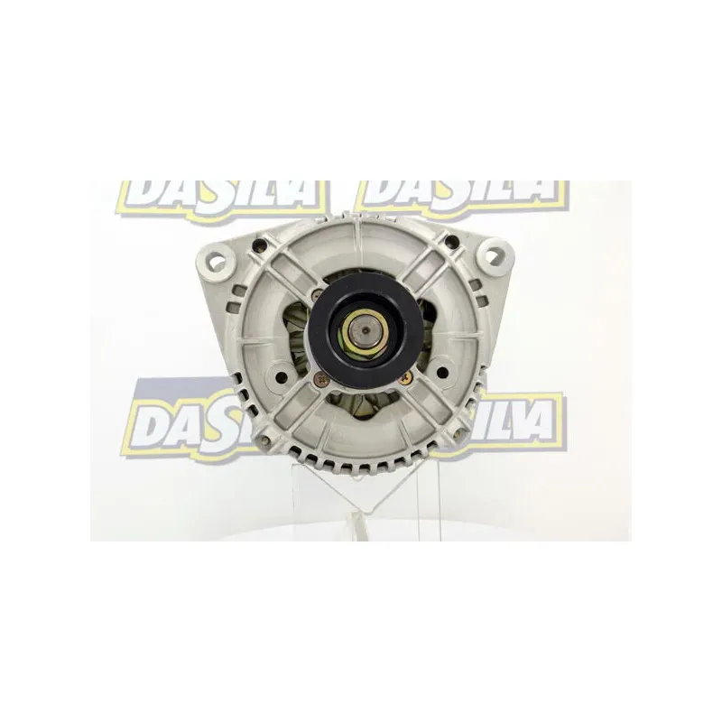Alternateur DA SILVA 010449 - Visuel 1