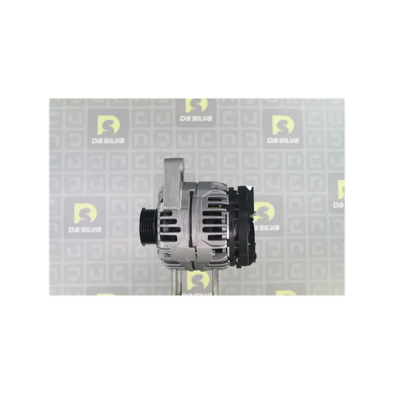 Alternateur DA SILVA 010517 - Visuel 2