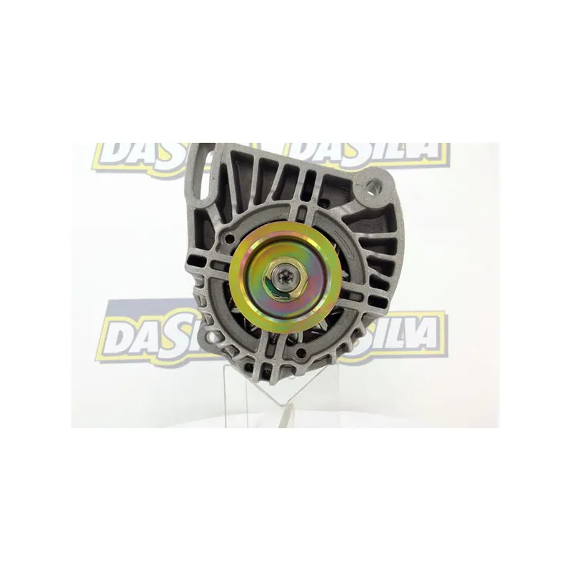 Alternateur DA SILVA 010525 - Visuel 1