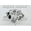 DA SILVA 010570 - Alternateur