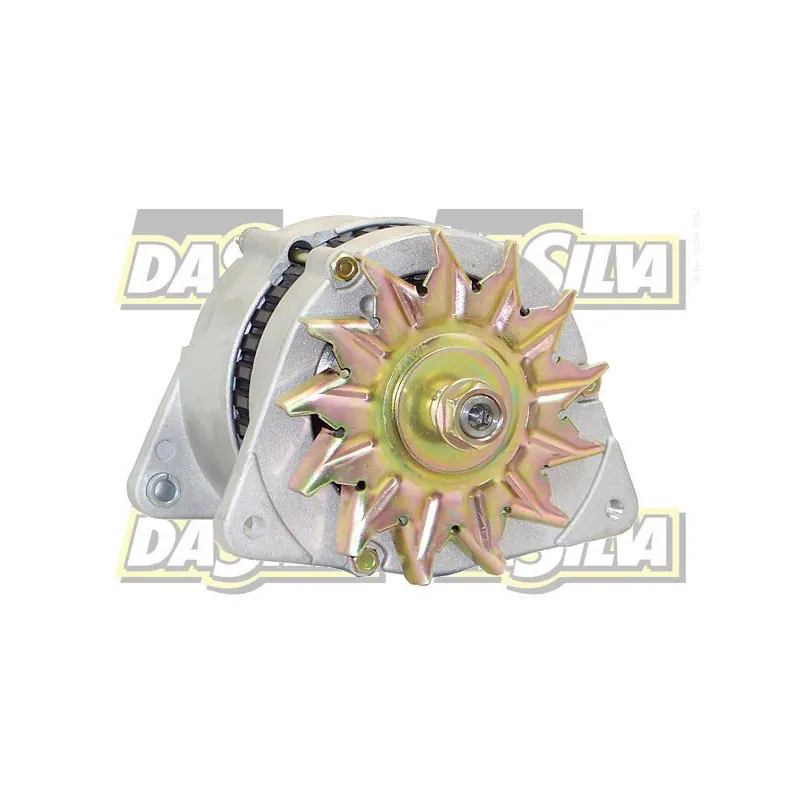 Alternateur DA SILVA 010693 - Visuel 1