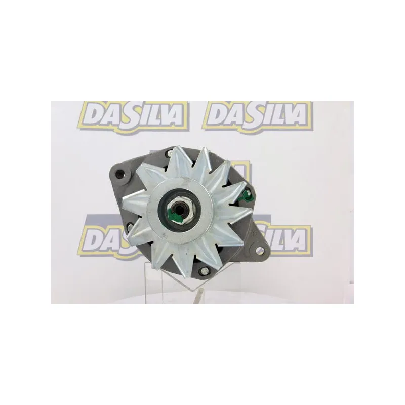 Alternateur DA SILVA 010736 - Visuel 1