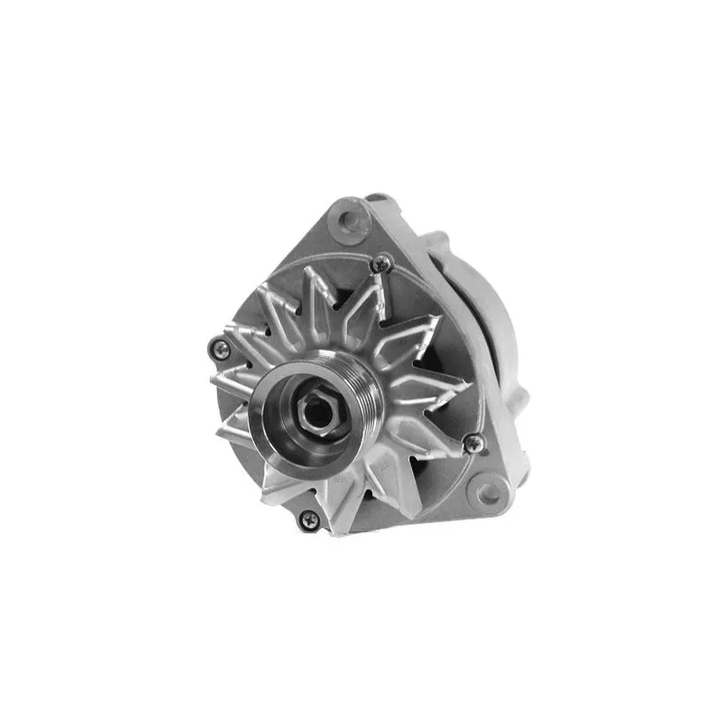 Alternateur DA SILVA 010787 - Visuel 1