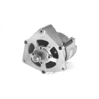 Alternateur DA SILVA 010809