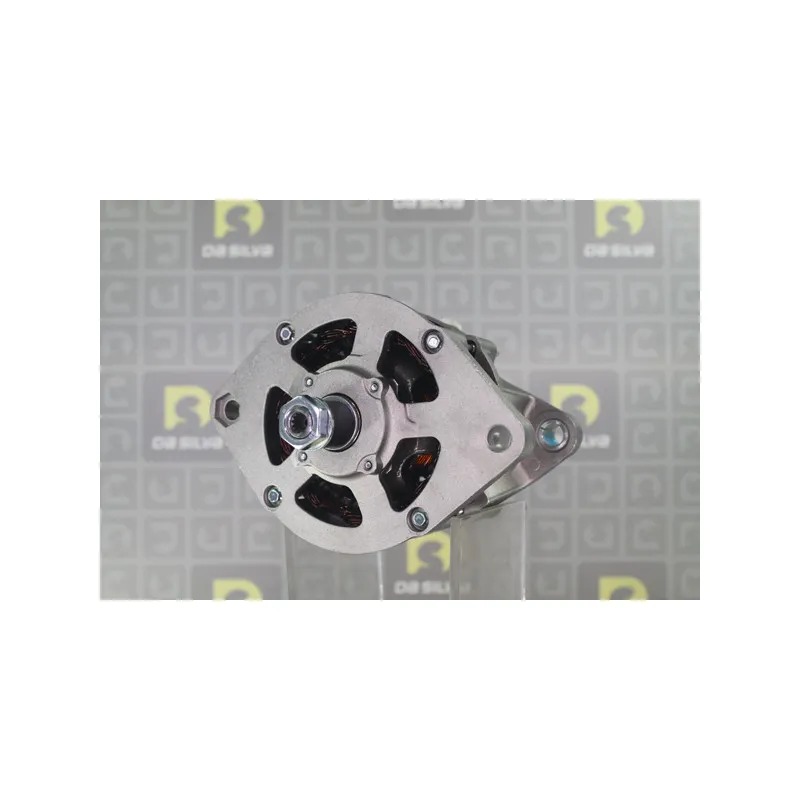 Alternateur DA SILVA 010811 - Visuel 1