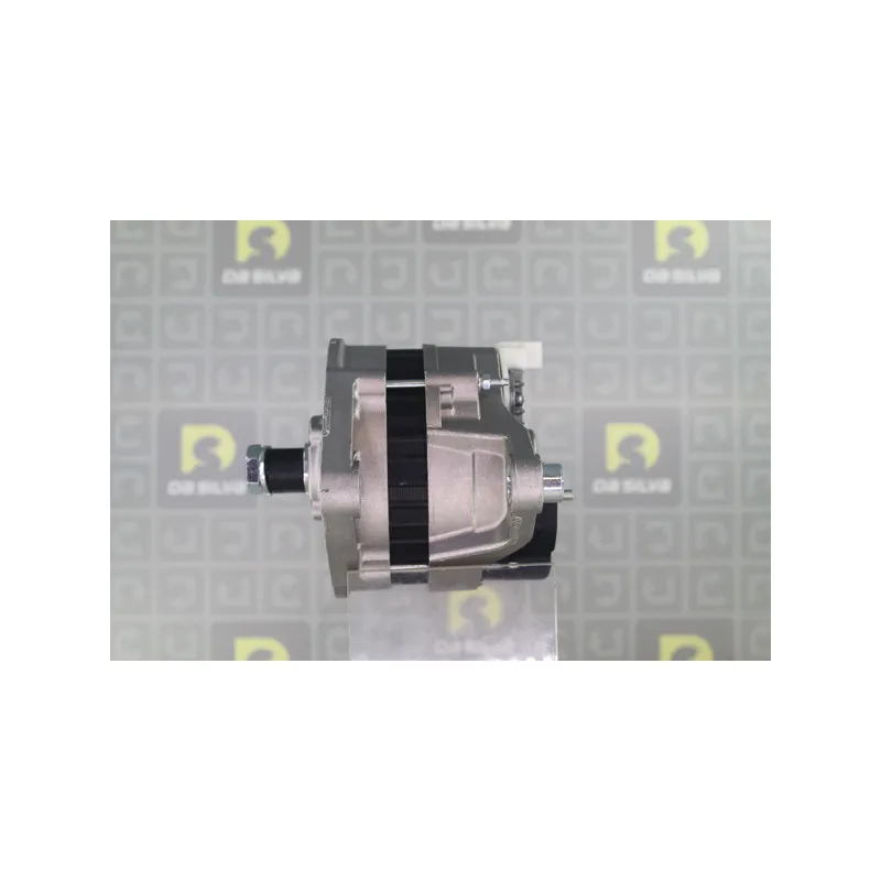 Alternateur DA SILVA 010811 - Visuel 2