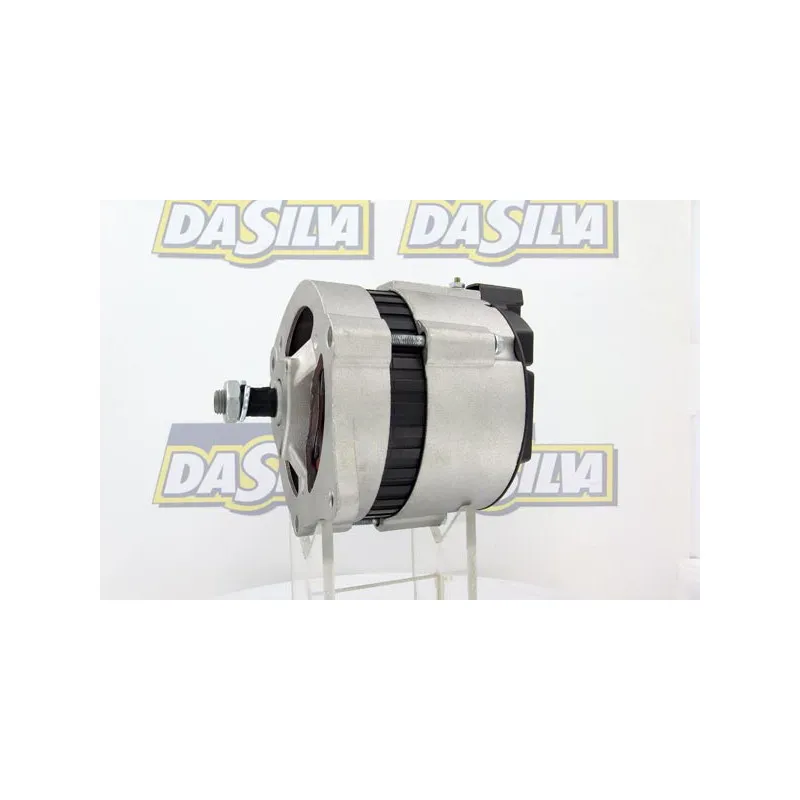 Alternateur DA SILVA 010815 - Visuel 1