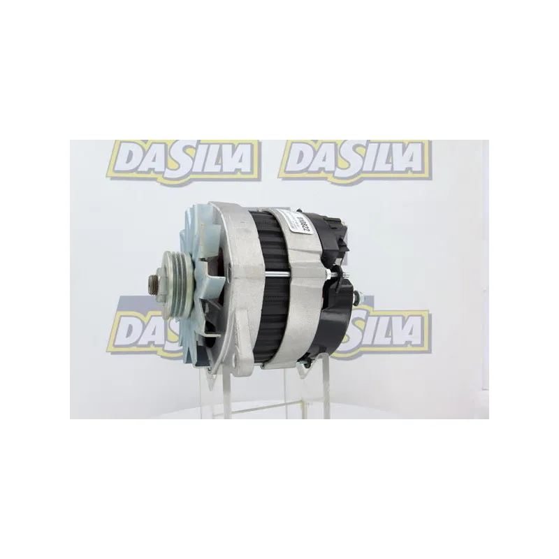 Alternateur DA SILVA 010822 - Visuel 1
