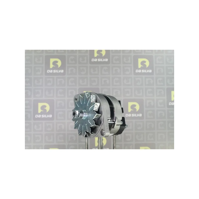 Alternateur DA SILVA 010947 - Visuel 1