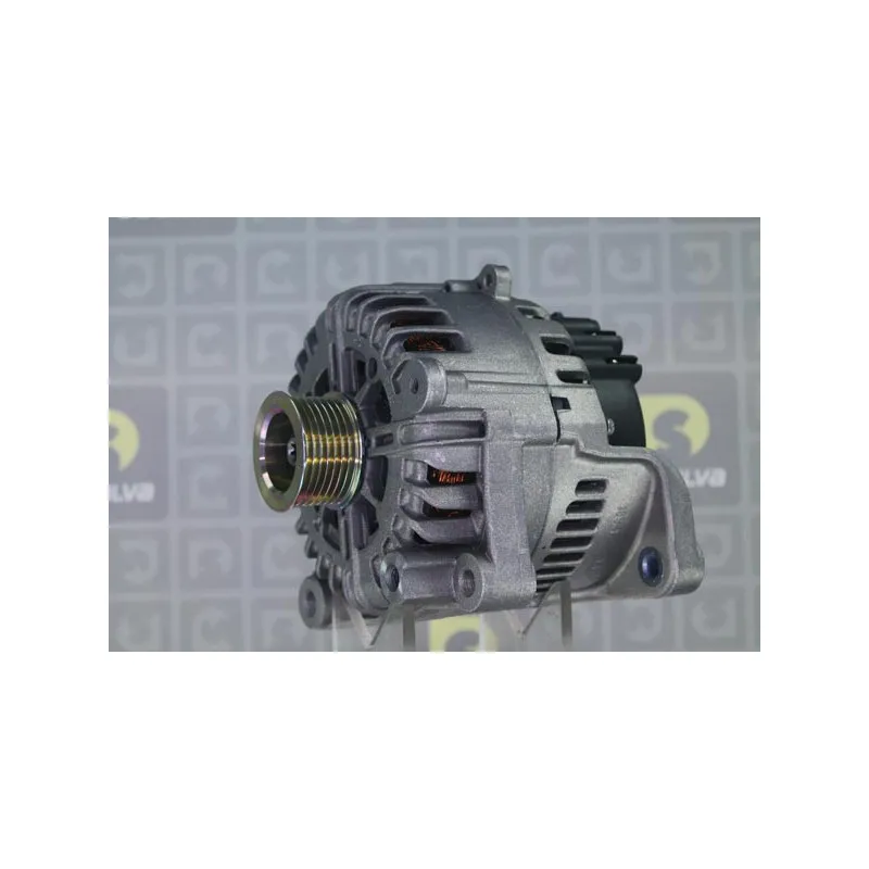 Alternateur DA SILVA 011362 - Visuel 1