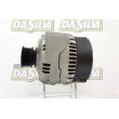 DA SILVA 011410 - Alternateur