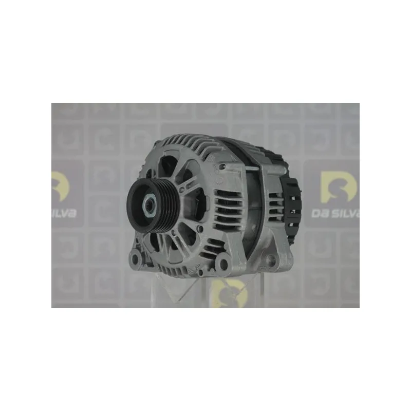 Alternateur DA SILVA 011520 - Visuel 1