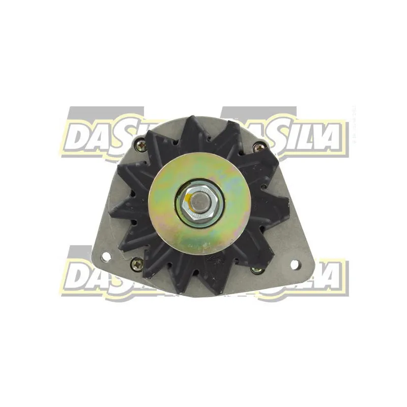 Alternateur DA SILVA 01179 - Visuel 2