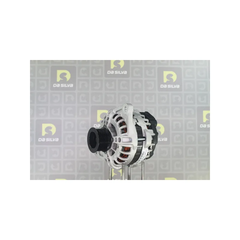 Alternateur DA SILVA 011867 - Visuel 1