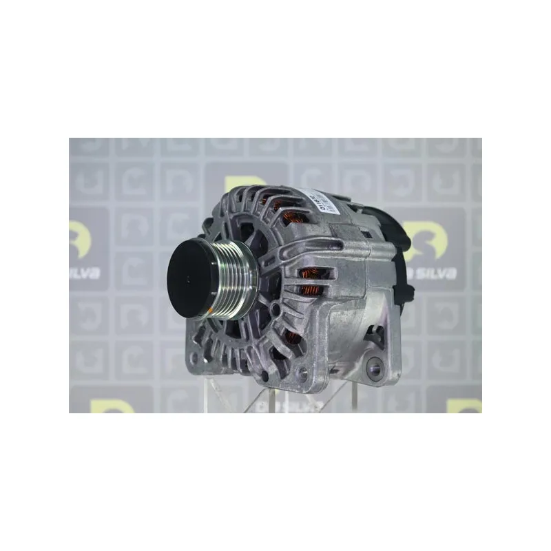 Alternateur DA SILVA 011872 - Visuel 1
