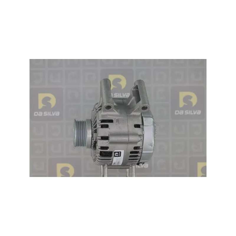 Alternateur DA SILVA 011930 - Visuel 1