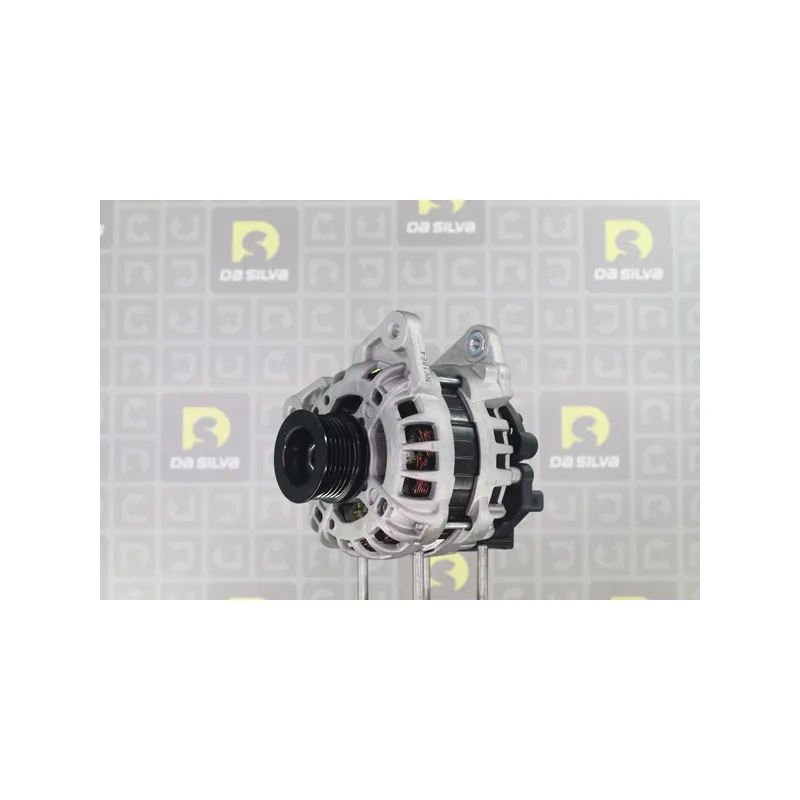 Alternateur DA SILVA 011937 - Visuel 1