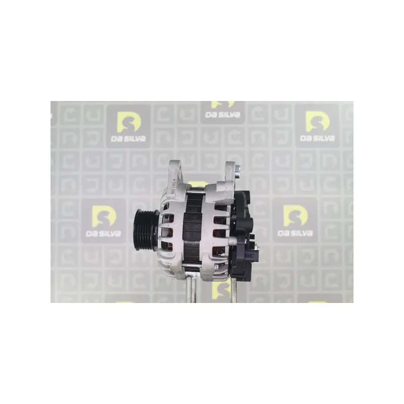 Alternateur DA SILVA 011937 - Visuel 2