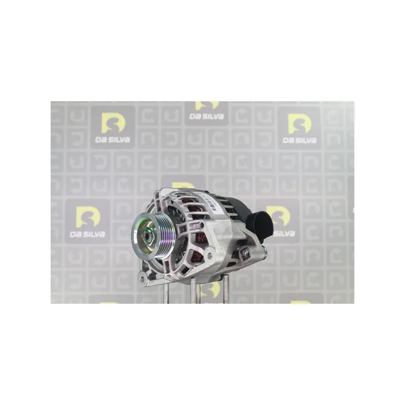 Alternateur DA SILVA 011975 - Visuel 1